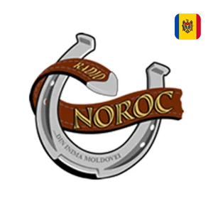 Ascultă Radio Noroc online - Radio Local, Stiri, News